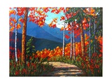 Path To Kaaterskill Falls