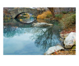 Central Park Scene In Late Autumn
