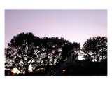 Twilight In Steinbeck Country