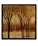 Moon Light Elms 3
