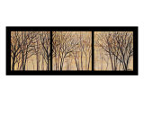 Moon Shadow Trees