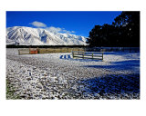 SN-02A Cattle Yard