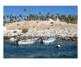 Boats In Cabo