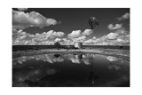 Ranch Pond  New Mexico