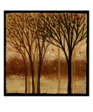 Moon Light Elms 1
