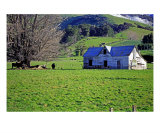 MM-01A Farmhouse