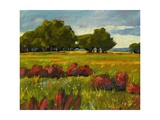 Afternoon Fields 1