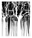 White N Black Trees