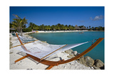 Hammock On Iguana Beach  Aruba