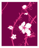 Pink Cherry Blossom