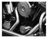 Harley