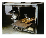 In The Oven