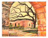 Alamo Wall