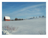Distant Barn
