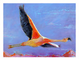 Flamingo In Flight - Chile