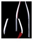 Pinot Noir Silouette