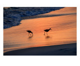 Beach Couple