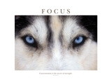 Focus - Concentration Is The Secret Of Strength