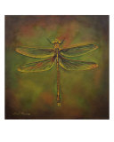 Dragonfly Trina