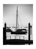 Sausalito Sailboat