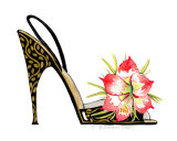Amaryllis Black Stiletto