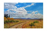 Wyoming Backroad near Vedauwoo  Wyoming
