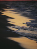 Surf Gently Lapping on a Sandy Beach at Twilight