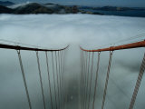 Cables of the Golden Gate Bridge Stand Above the Early Morning Fog