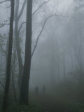 Hikers Enjoy a Foggy Outing on a Trail in the Shenandoah Valley