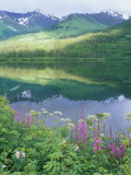 Summit Lake  Sunbeam on Forest  Firewee  Chugach National Forest  Alaska