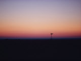 A Windmill Breaks the Flat Horizon of the Texas Panhandle at Dawn
