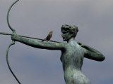 Mockingbird Atop a Bronze Sculpture of Diana by Augustus Saint-Gaudens