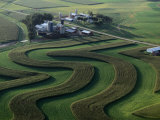 A Farm with Curved and Twisting Fields