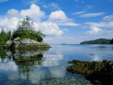 Shoreline Reflected in a Still Lake