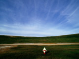 A Fire Hydrant in a Green Field under a Wide Blue Sky