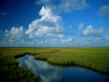 Marsh Canal in Oyster Bayou