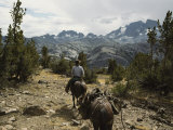 A Horse Packer in a High Mountain Meadow