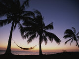 Twilight View of Beach with Hammock and Palms  Costa Rica