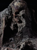 Skeleton Encased in Volcanic Ash