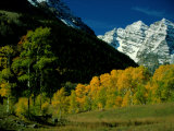 Autumn View of Aspen Trees against a Backdrop of Snow-Covered Mountains