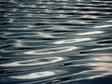 Sunlight Reflecting on Rippling Water