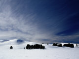 Winter Landscape at Hayden Valley