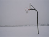 Basketball Goal Standing by Itself in the Middle of a Blizzard