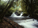 Water Flows over a Man-Made Waterfall Near Lake Quinault