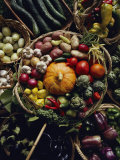 Various Vegetables in a Basket at the Tilth Festival in Seattle