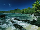 Water Surging over Rocks onto a Palm Tree-Lined Beach