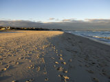 Cape Cod Foot Prints on Sandy Beach in Chatham  Massachusetts