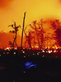 Lava Courses Through Campbell Estate  Which is Adjacent to Hawaii Volcanoes National Park