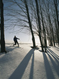 A Cross-Country Skier Blazes a Trail in the Snow