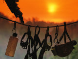 Caving Equipment and Bottle Hang on Line against a Fiery Sun and Sky